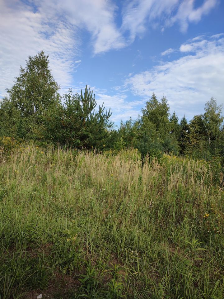Działka budowlana Dziekanów Nowy, ul. Królowej Marysieńki. Zdjęcie 6