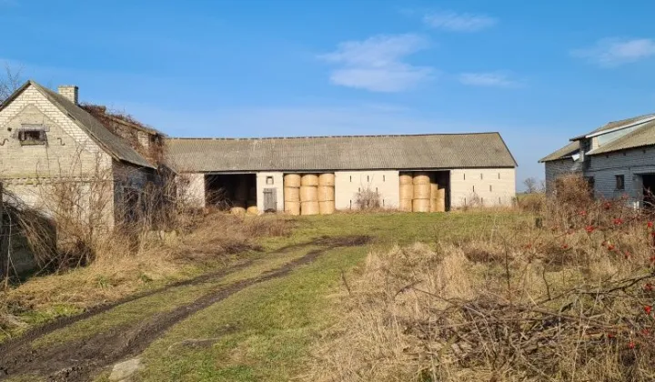 Działka rolno-budowlana Cieciersk