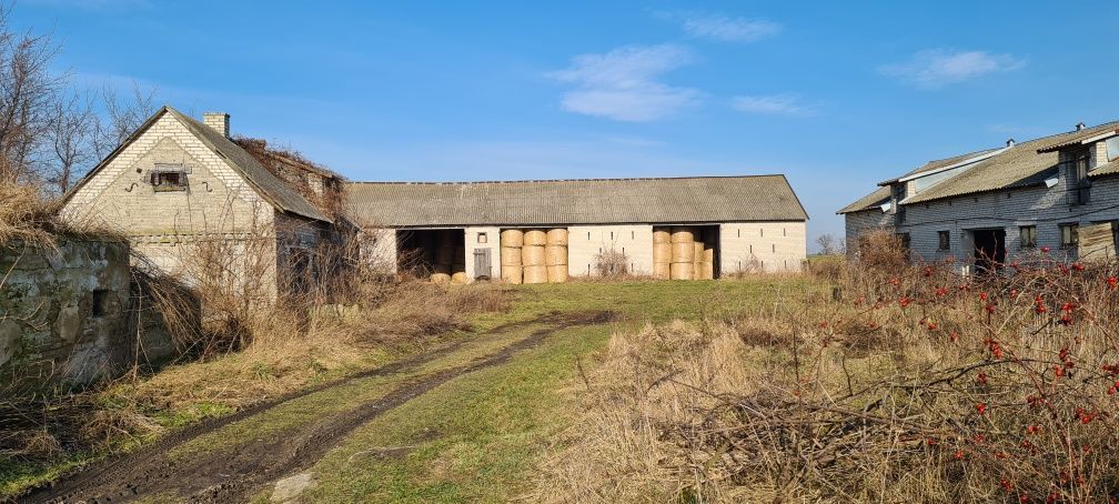 Działka rolno-budowlana Cieciersk. Zdjęcie 1