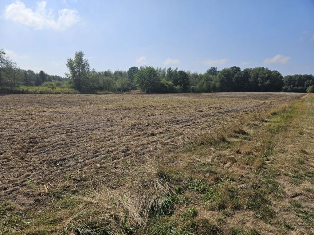 Działka budowlana Zadębie. Zdjęcie 10