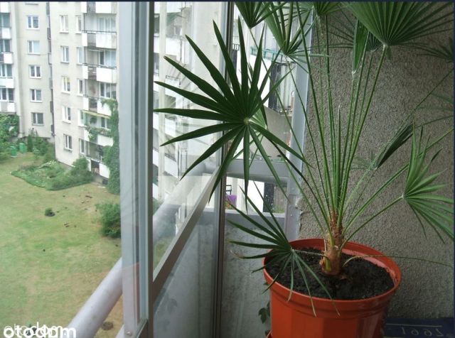 Mieszkanie 2-pokojowe Warszawa Bemowo, ul. Romualda Millera. Zdjęcie 4