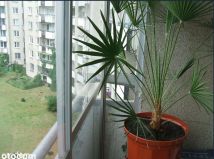 Mieszkanie 2-pokojowe Warszawa Bemowo, ul. Romualda Millera. Zdjęcie 3