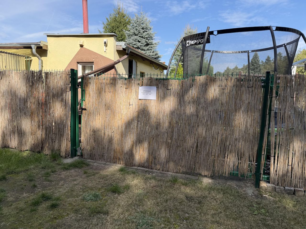 Działka rod Leszno, ROD Międzylesie. Zdjęcie 19