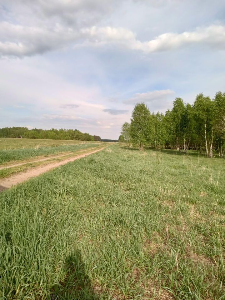 Działka budowlana Ploski. Zdjęcie 18