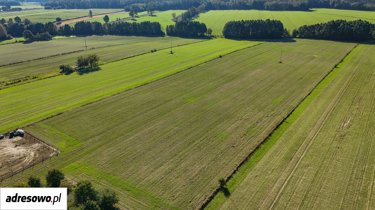 Działka siedliskowa Wola Kuźniewska. Zdjęcie 4