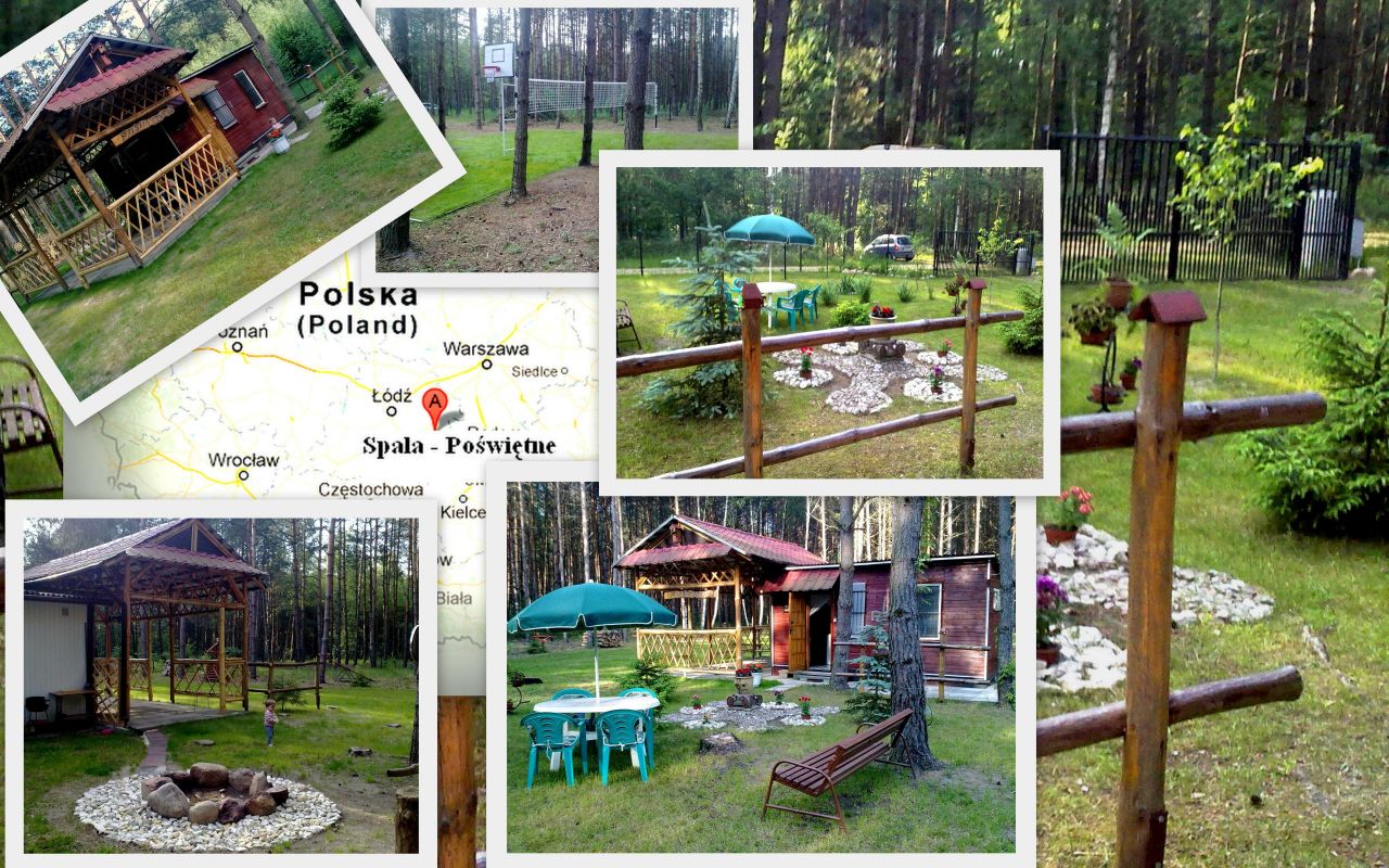 Działka rekreacyjna Poświętne. Zdjęcie 6