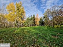 Działka budowlana Cholewy. Zdjęcie 1