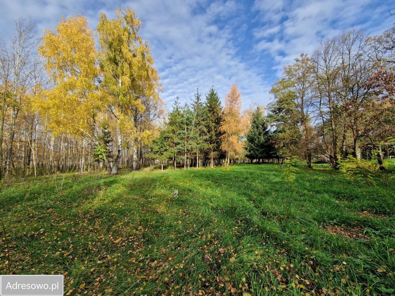 Działka budowlana Cholewy. Zdjęcie 2