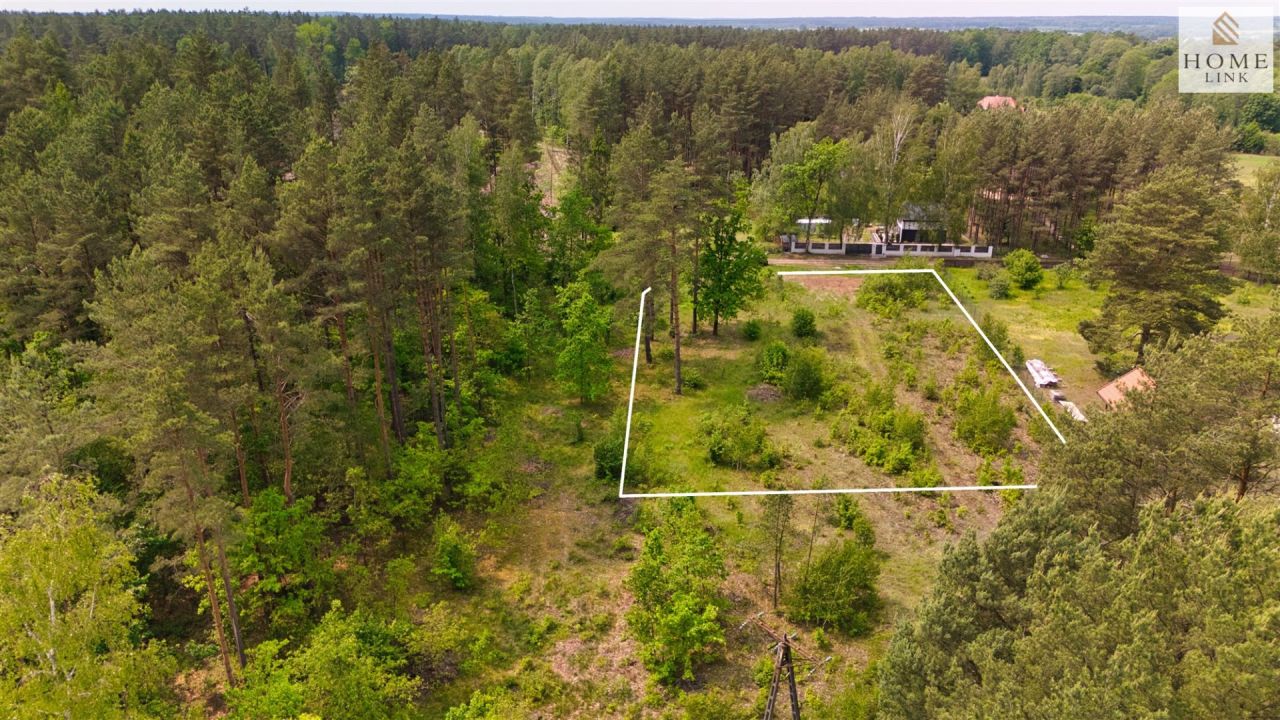 Działka leśna Klewki. Zdjęcie 6