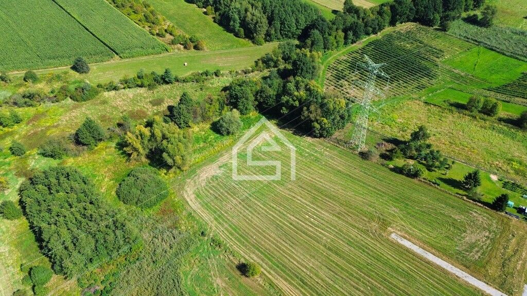 Działka rolna Bochnia Kurów. Zdjęcie 7