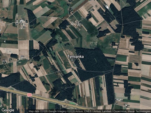 Działka leśna Tymianka. Zdjęcie 1