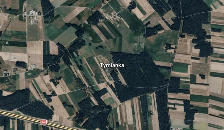 Działka leśna Tymianka