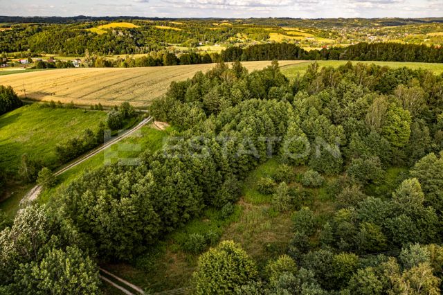 Działka rolna Nowy Borek. Zdjęcie 7