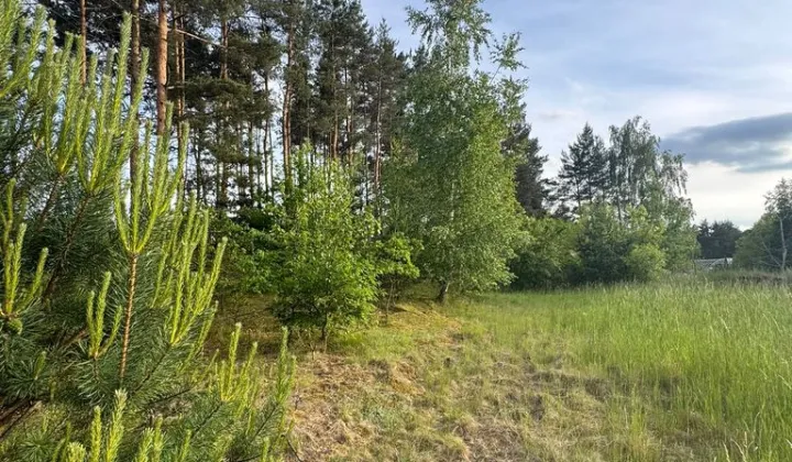 Działka budowlana Nowy Dwór