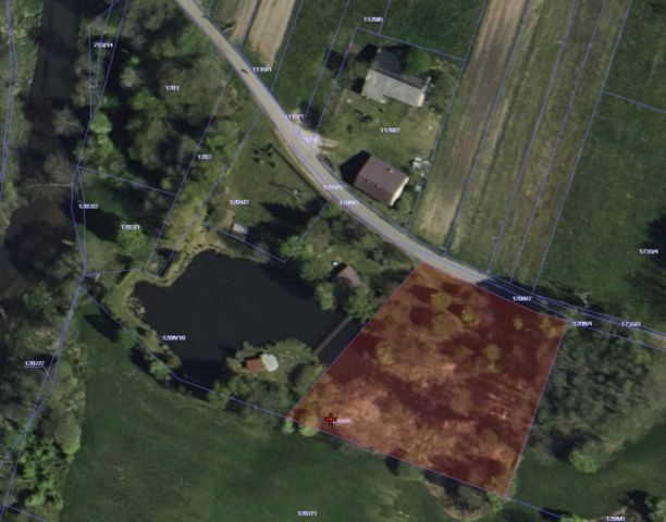 Działka Żabczanka. Zdjęcie 9