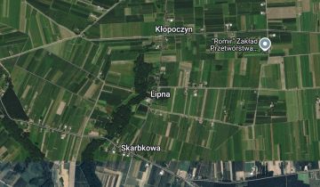 Działka rolna Lipna