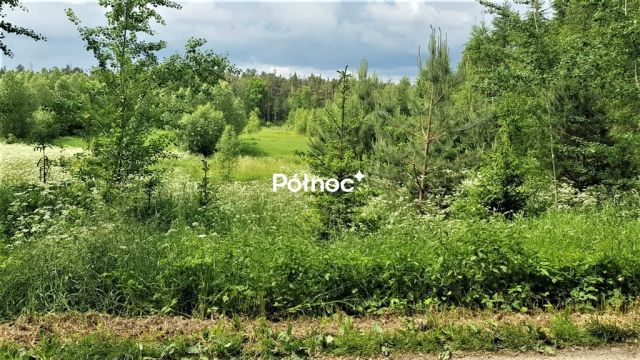 Działka rolna Golubie. Zdjęcie 9