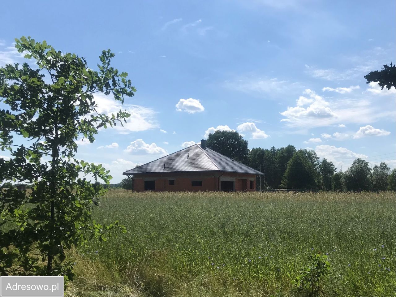 Działka budowlana Józefów, ul. Akacjowa. Zdjęcie 8