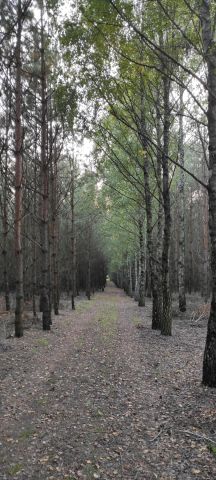 Działka leśna Służewo-Pole. Zdjęcie 1