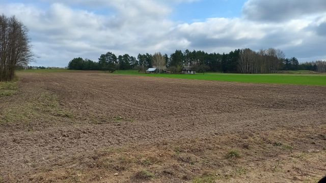 Działka rolna Pokaniewo-Kolonia. Zdjęcie 1