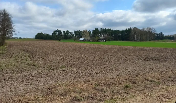 Działka rolna Pokaniewo-Kolonia