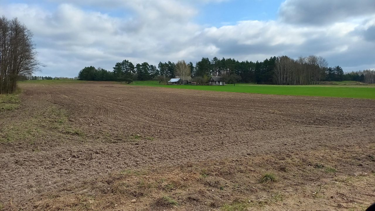 Działka rolna Pokaniewo-Kolonia