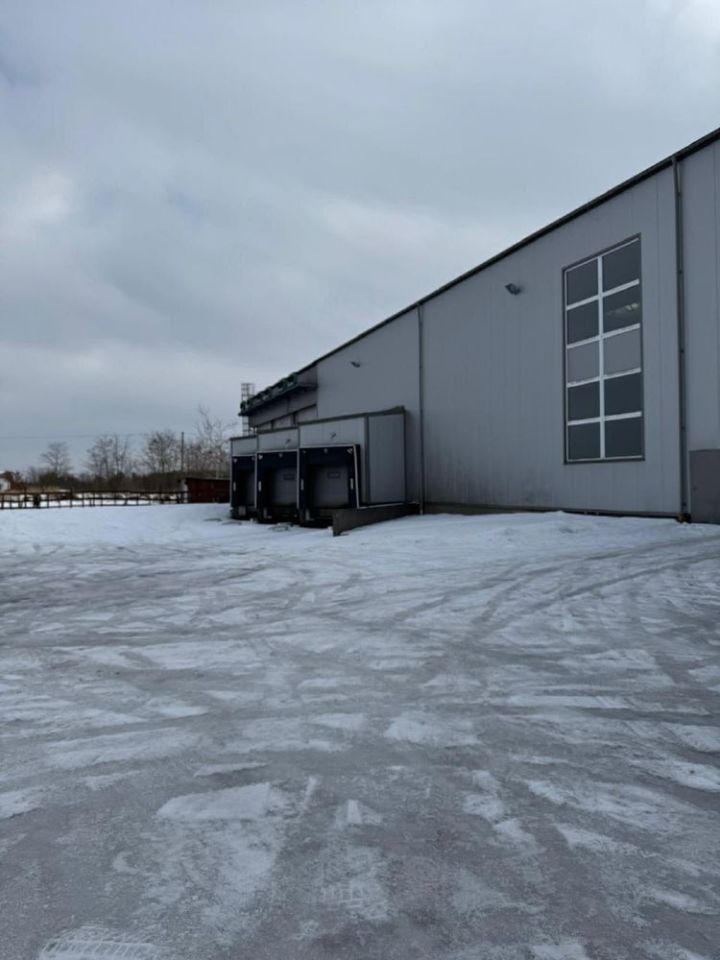 Hala/magazyn Oczesały. Zdjęcie 6