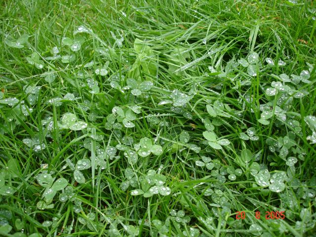 Działka budowlana Chrząstowice, ul. Olimpijczyków. Zdjęcie 2