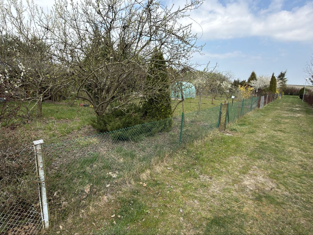 Działka rod Wieluń. Zdjęcie 2