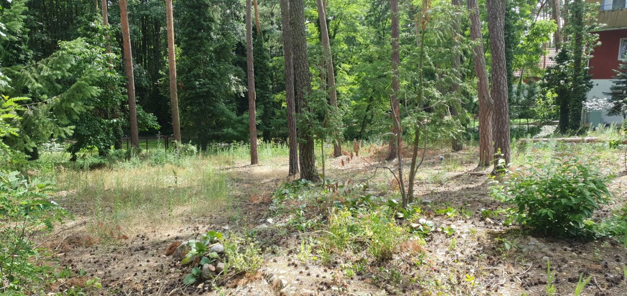 Nieruchomość komercyjna Boszkowo. Zdjęcie 9