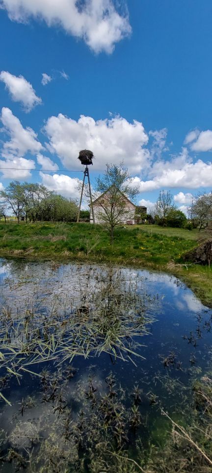 dom wolnostojący Dziśnity. Zdjęcie 2