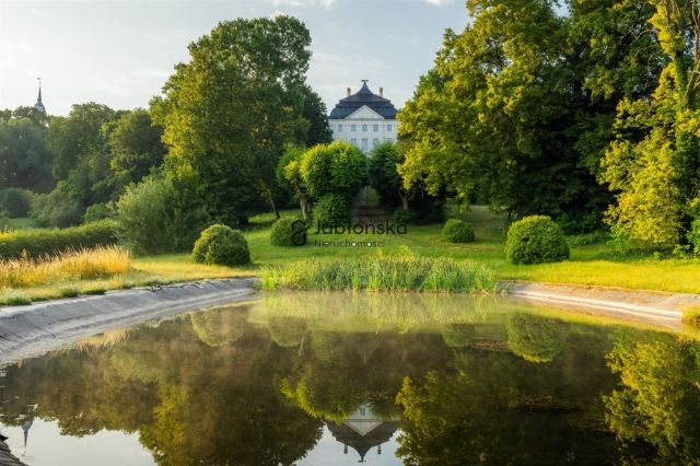 Działka budowlana Ostromecko. Zdjęcie 1