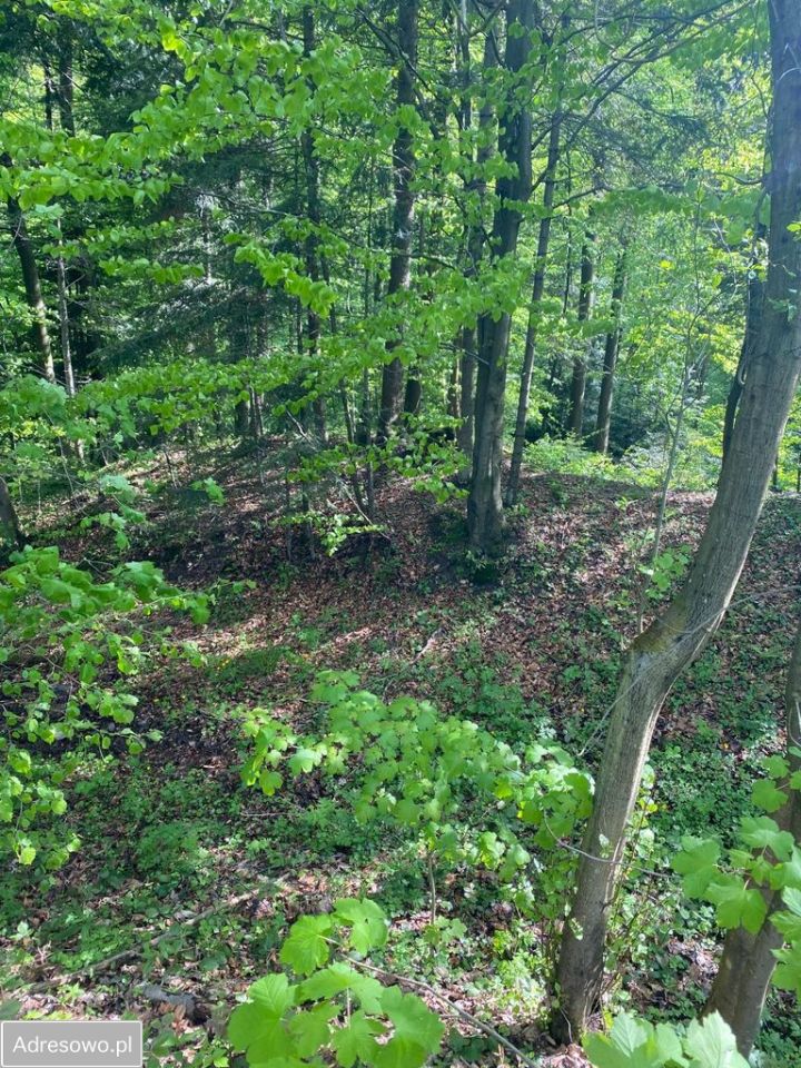 Działka budowlana Cieniawa. Zdjęcie 6