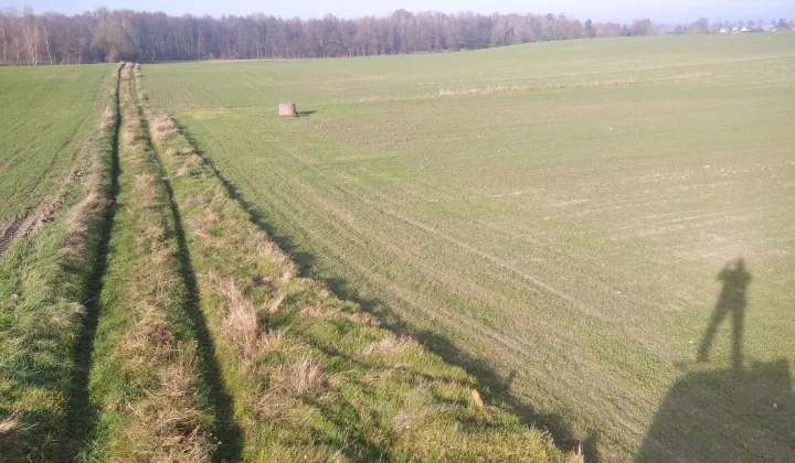 Działka siedliskowa Bramka