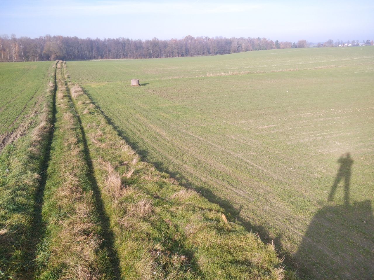 Działka siedliskowa Bramka. Zdjęcie 1