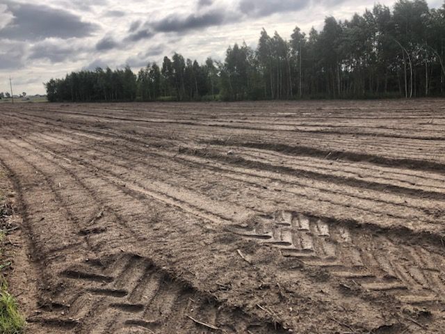 Działka rolna Kamienica. Zdjęcie 6