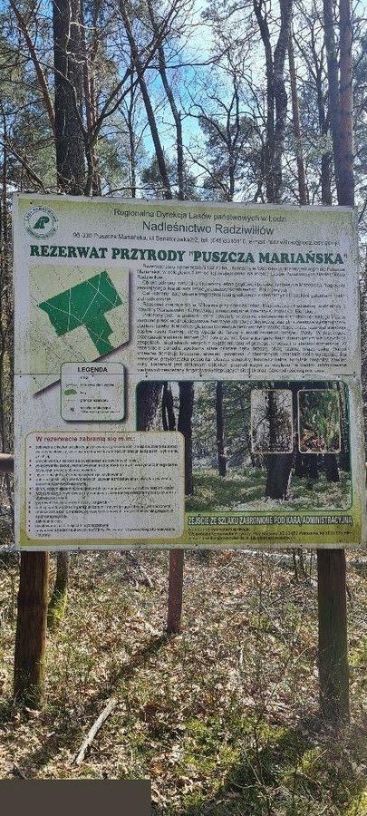 Działka rolno-budowlana Franciszków. Zdjęcie 7