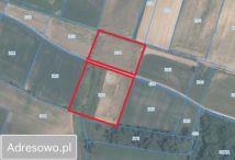 Działka rolna Lelowice. Zdjęcie 1