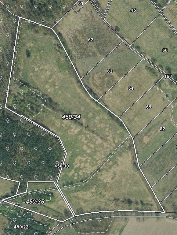 Działka rolna Barzyna. Zdjęcie 4