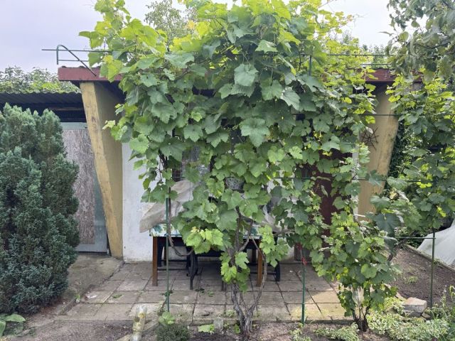 Działka rod Sarnówka. Zdjęcie 1