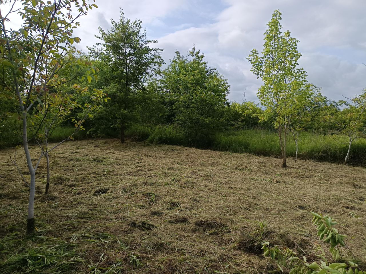 Działka rolna Mielec Cyranka, ul. Cyranowska. Zdjęcie 8