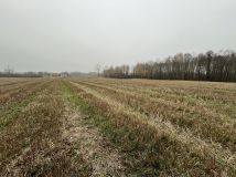 Działka budowlana Rozkopaczew. Zdjęcie 3