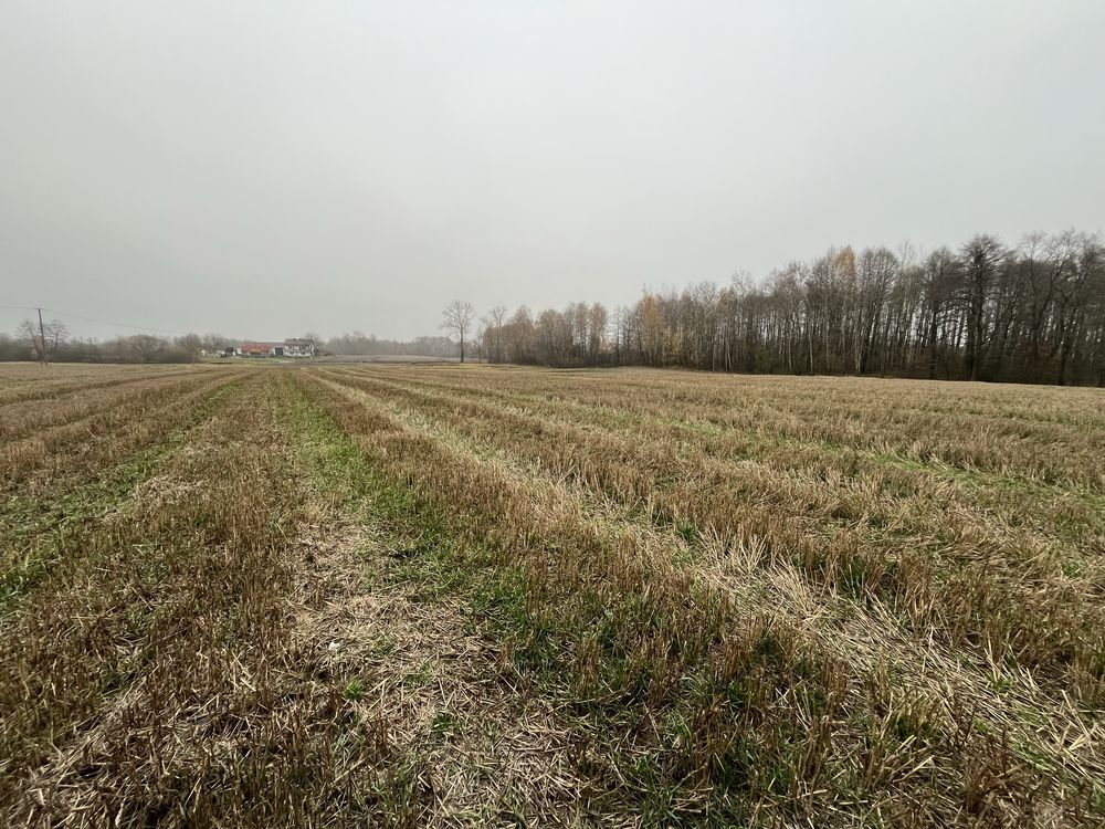 Działka budowlana Rozkopaczew. Zdjęcie 4