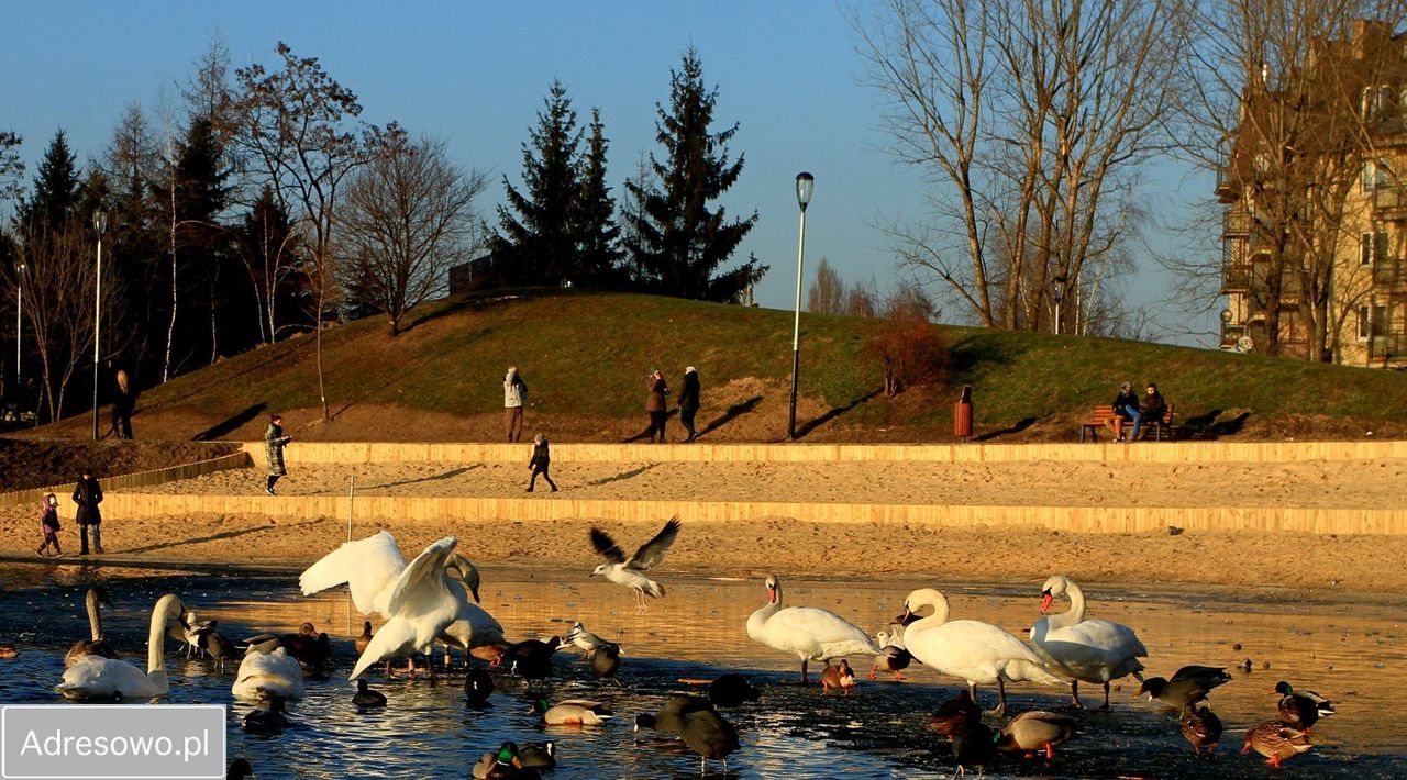 Mieszkanie 2-pokojowe Kraków Podgórze, ul. Mierzeja Wiślana. Zdjęcie 20