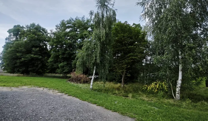 Działka budowlana Swędów, ul. Główna