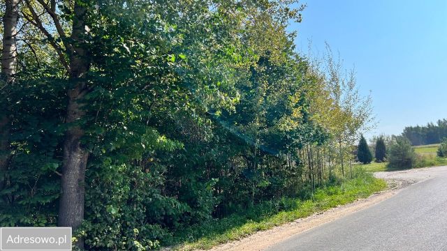 Działka rolna Pękanino. Zdjęcie 1