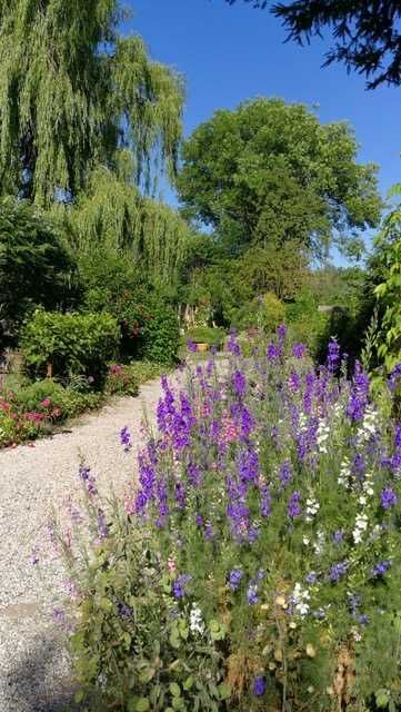 dom wolnostojący, 12 pokoi Radziechów. Zdjęcie 6
