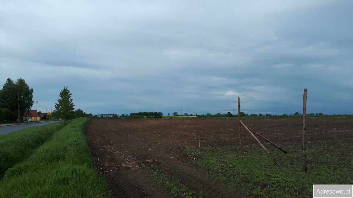 Działka siedliskowa Sieciechów. Zdjęcie 6