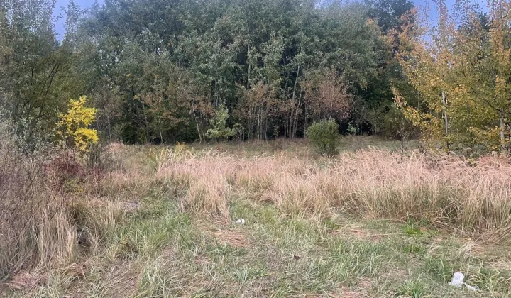 Działka budowlana Żółtańce-Kolonia, ul. Topazowa