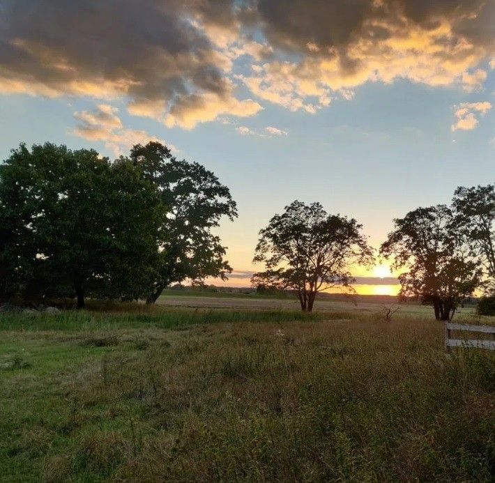 Działka budowlana Drzewce. Zdjęcie 9